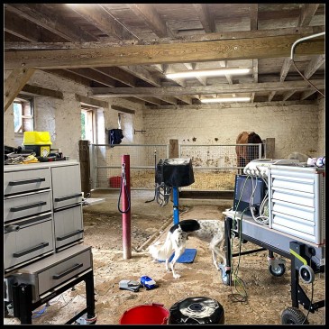 05 Mobile solutions for equine dentists.jpg