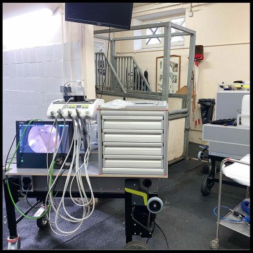 03 Mobile solutions for equine dentists.jpg